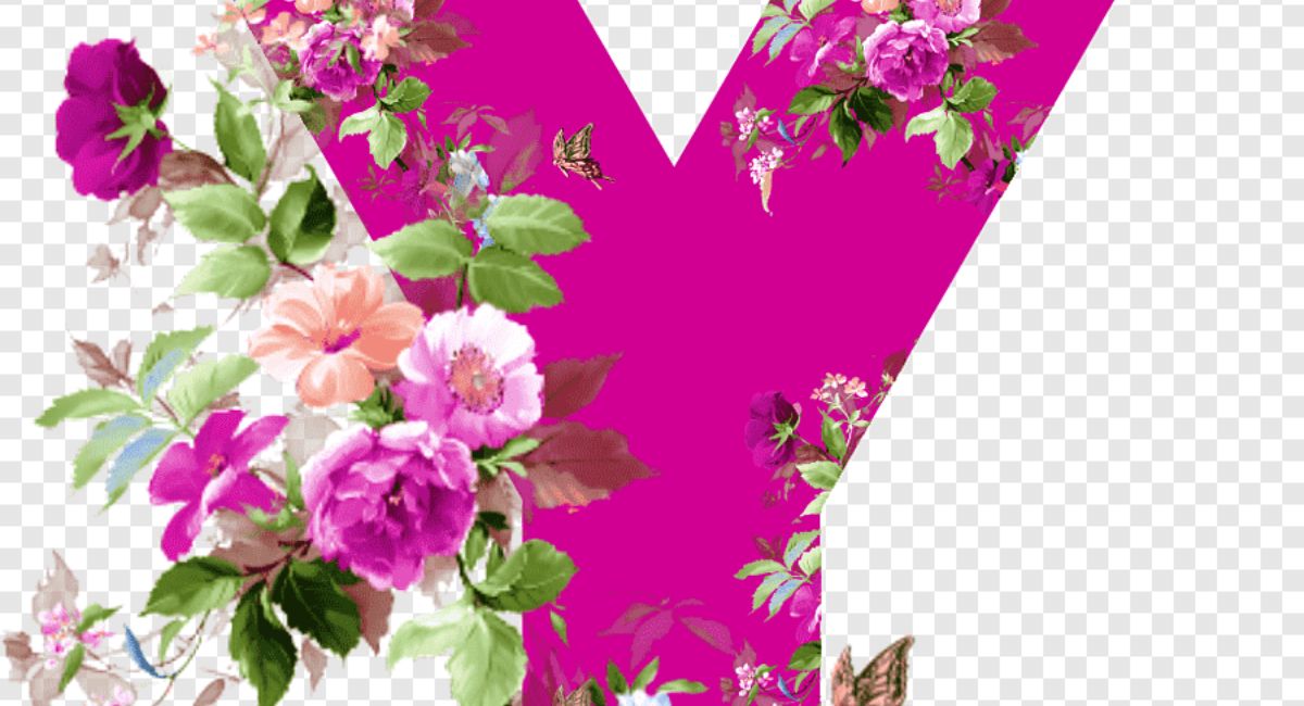 Japanese Names That Start With “Y” With Meanings