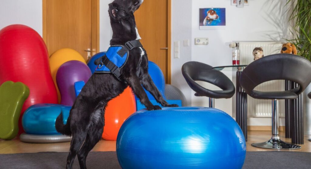 Improved Physical Fitness and Natural Exercise