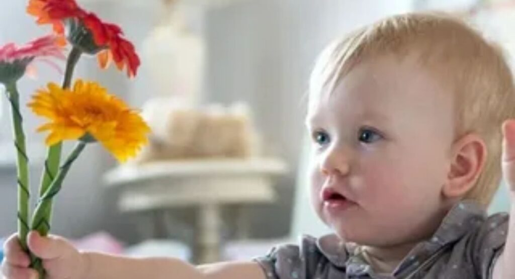 Japanese Flower Names For Boys