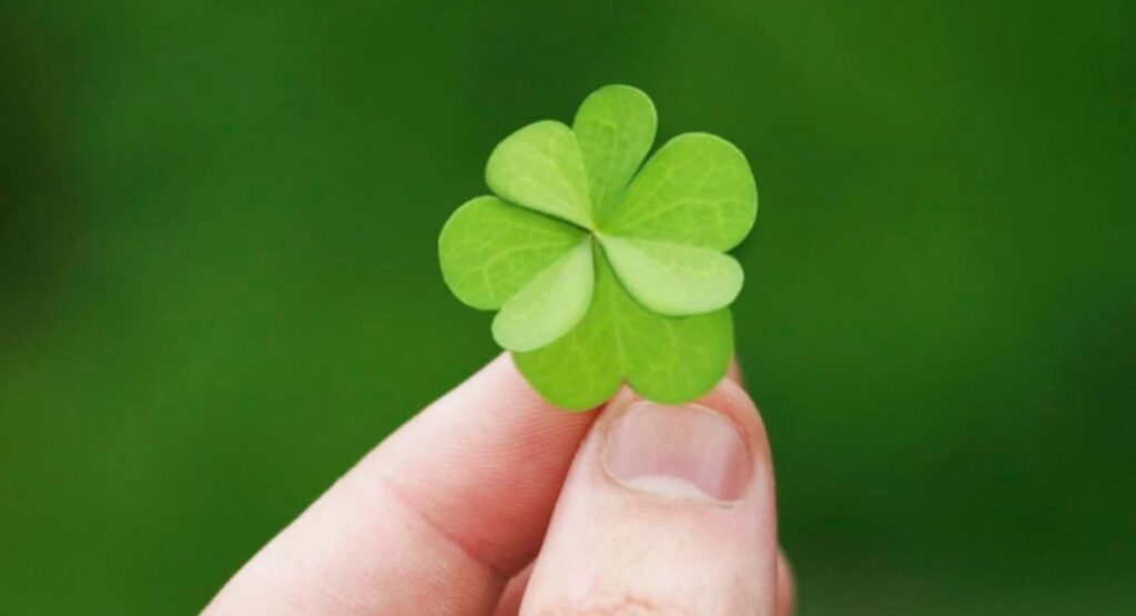 Make Space for New Opportunities