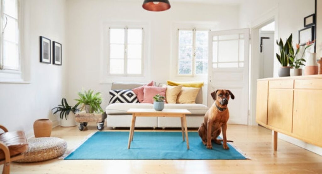 Create a Healthy Home Environment