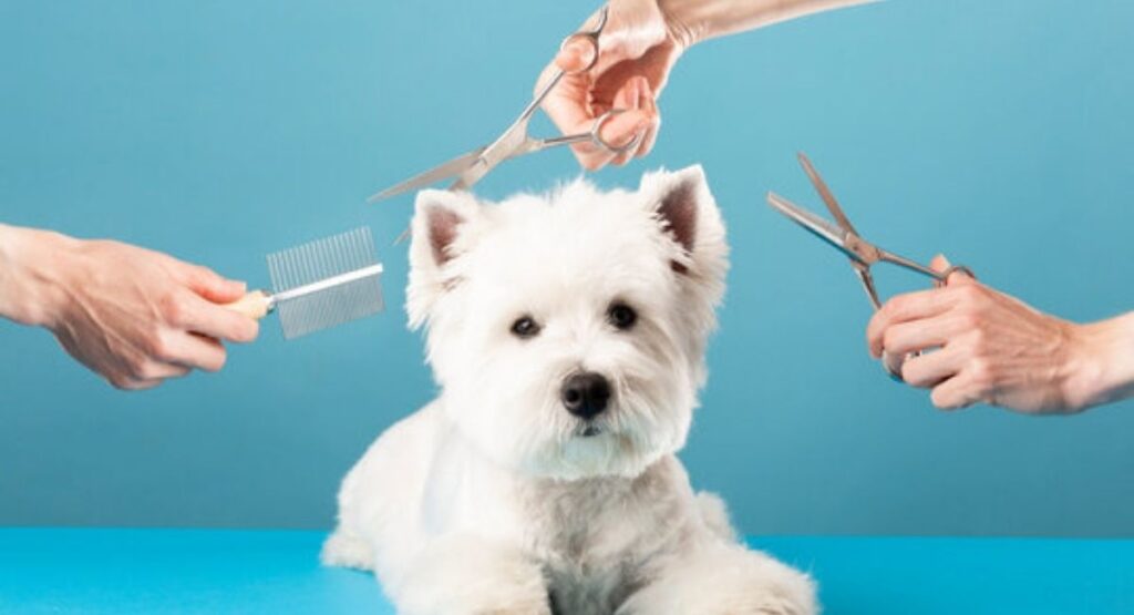 Tailor Care for Every Life Stage