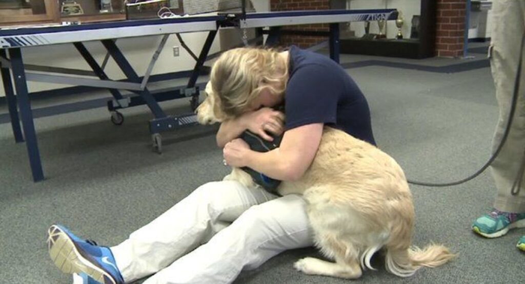 Service Animal vs. Emotional Support Animal