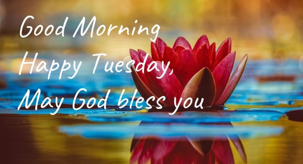 Beautiful Good Morning Tuesday Blessings