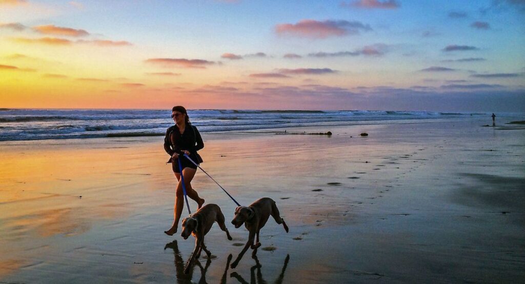 They Can Help Minimize Stress and Anxiety