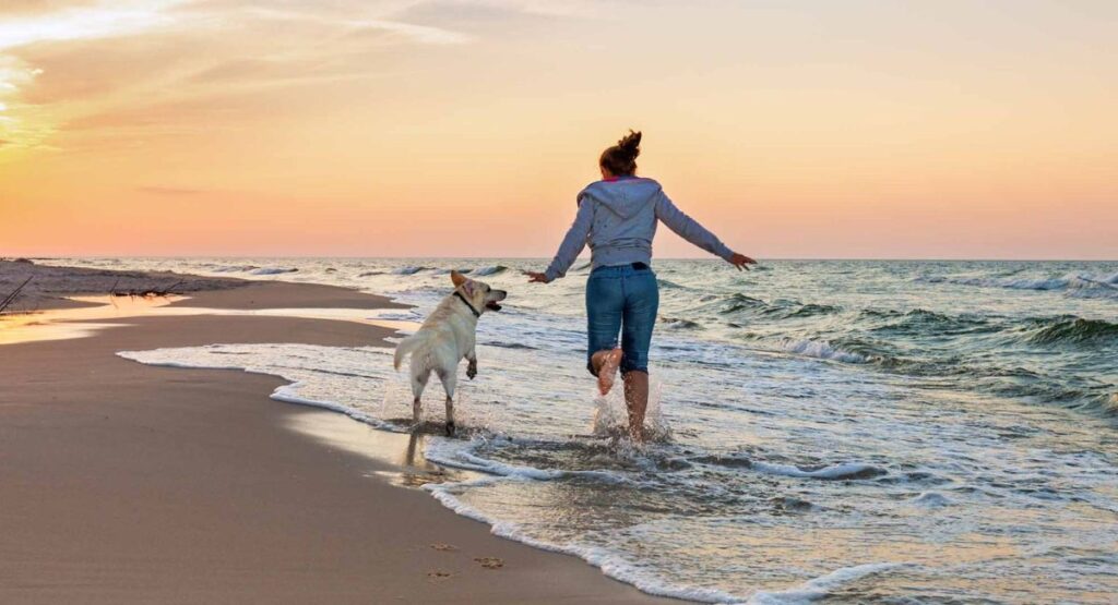 Why Your Dog Deserves the Best