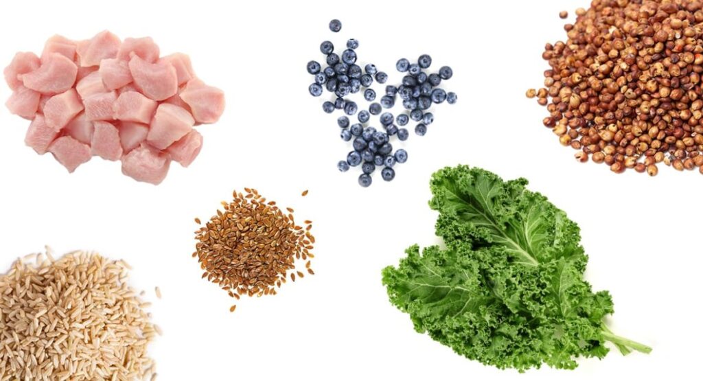 Avoid Fillers, Artificial Additives, and Low-Quality Ingredients